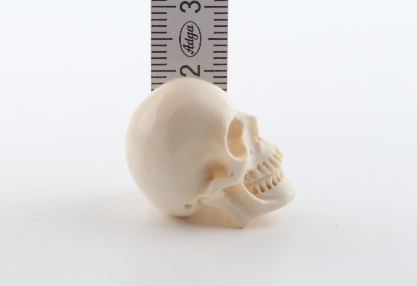 Hand carved mammoth ivory skull