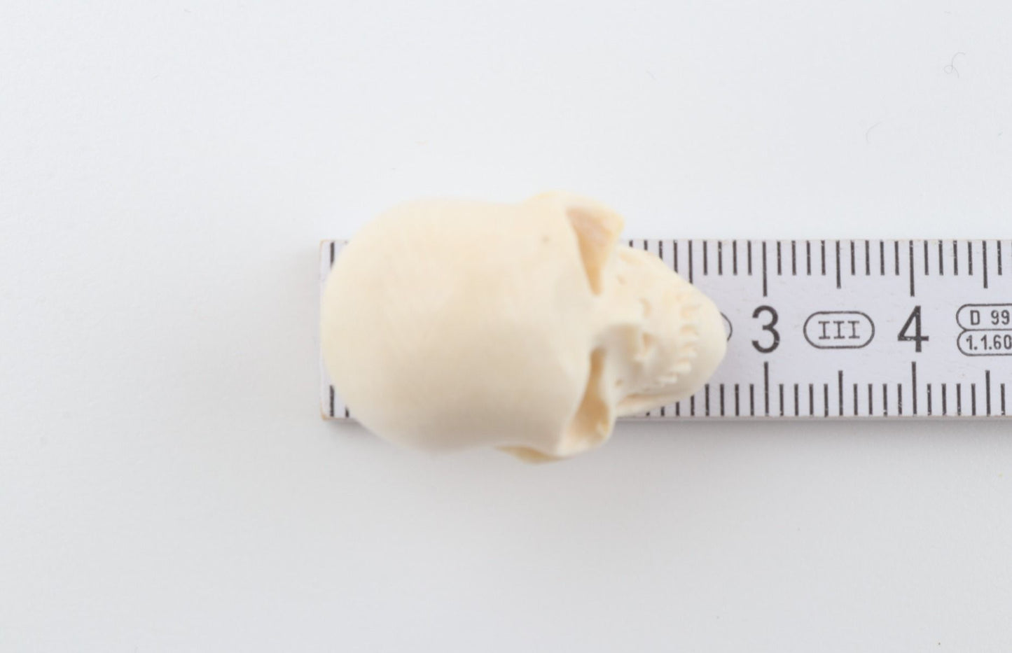 Hand carved mammoth ivory skull