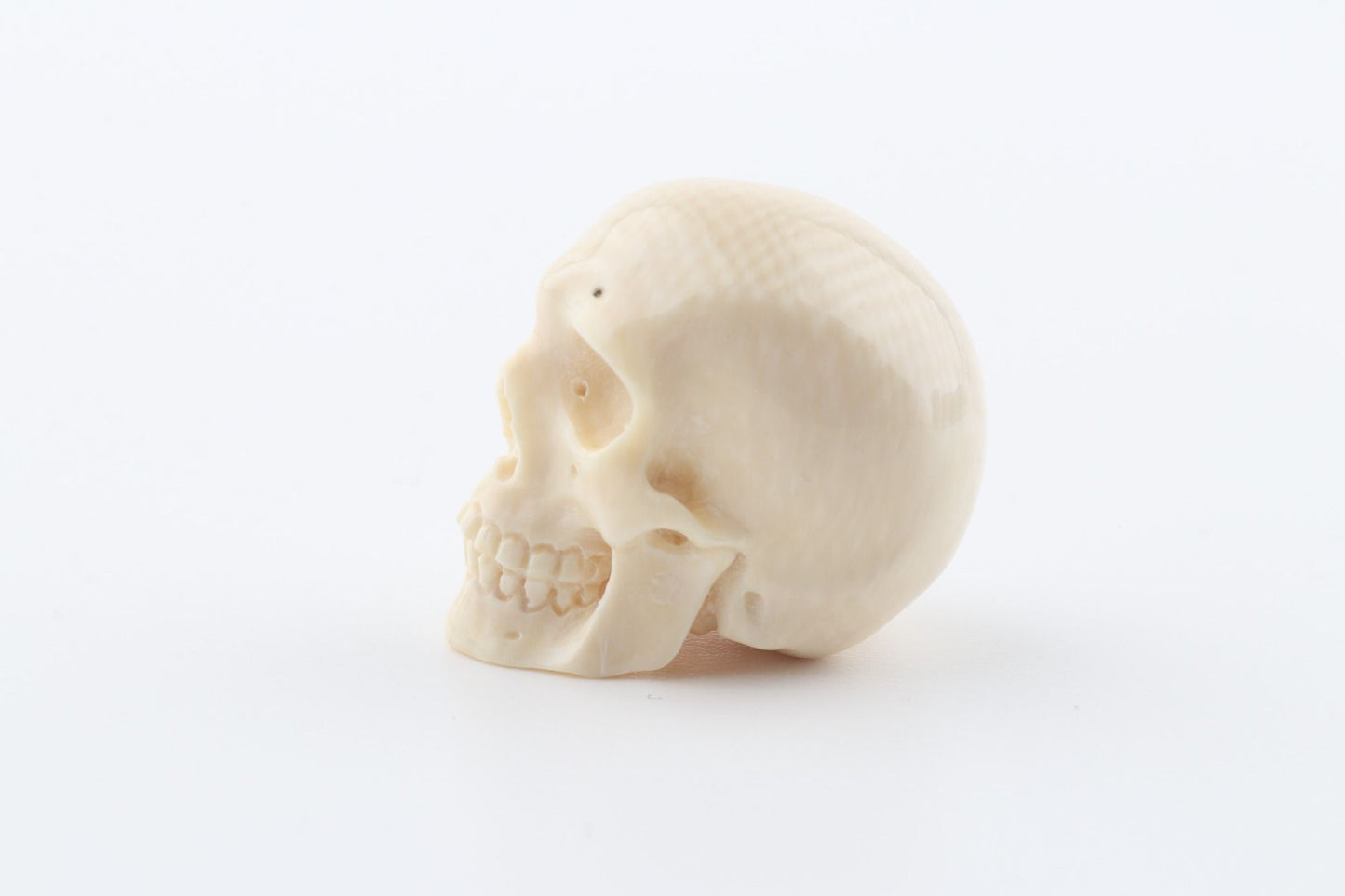 Hand carved mammoth ivory skull