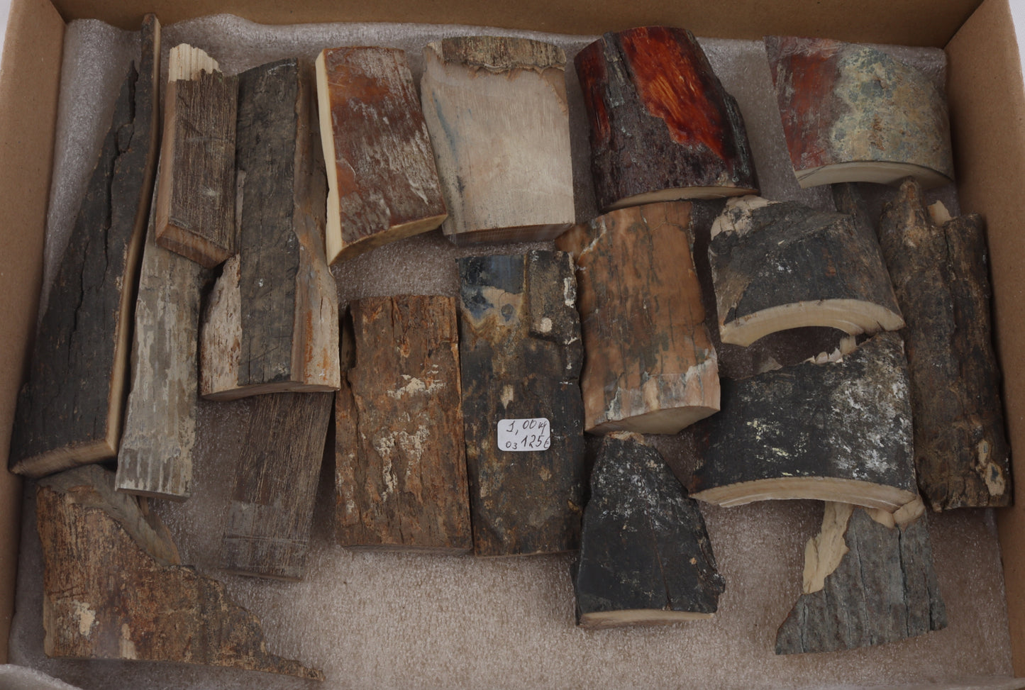 Raw mammoth bark pieces