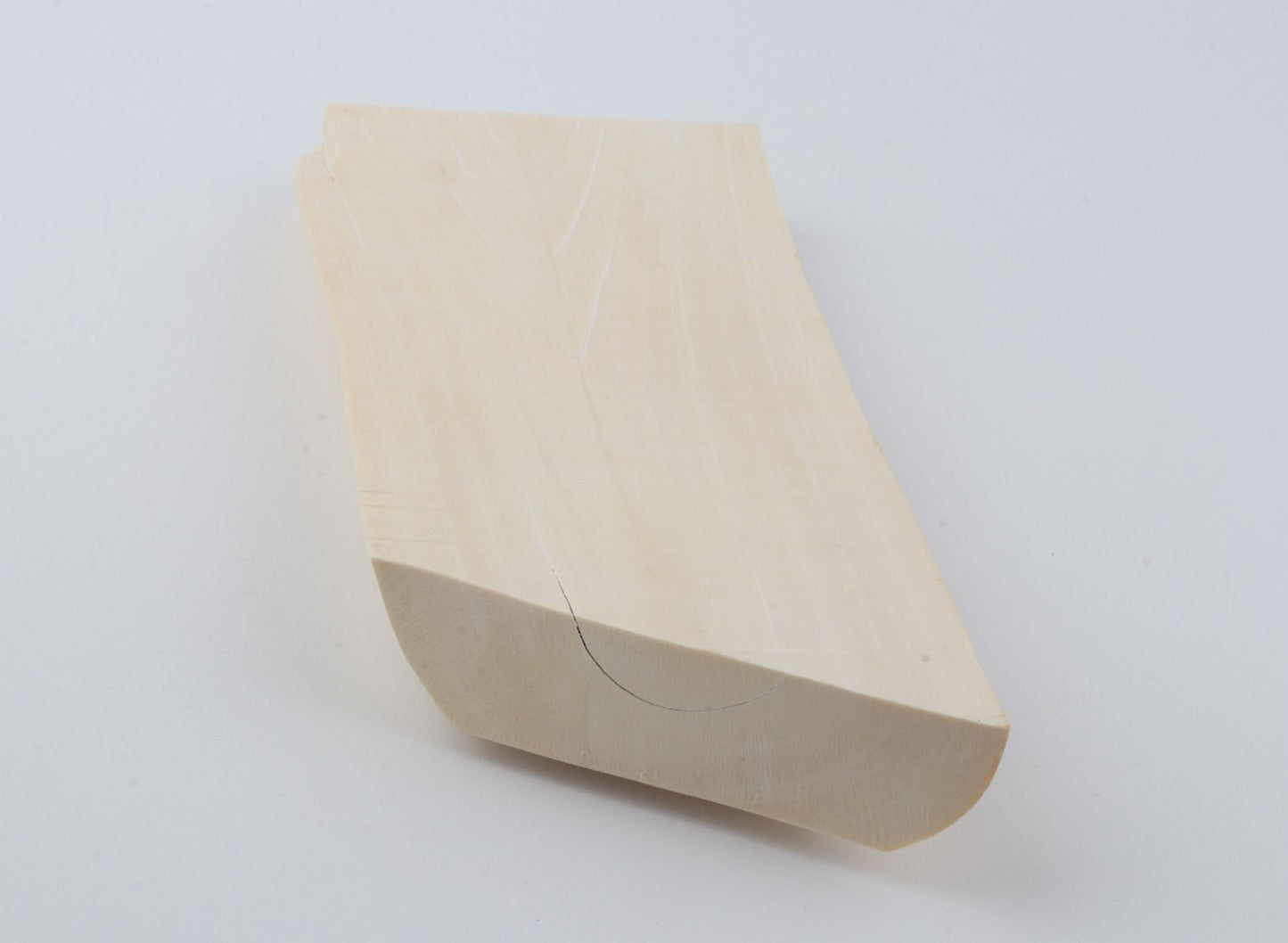 White mammoth ivory segment