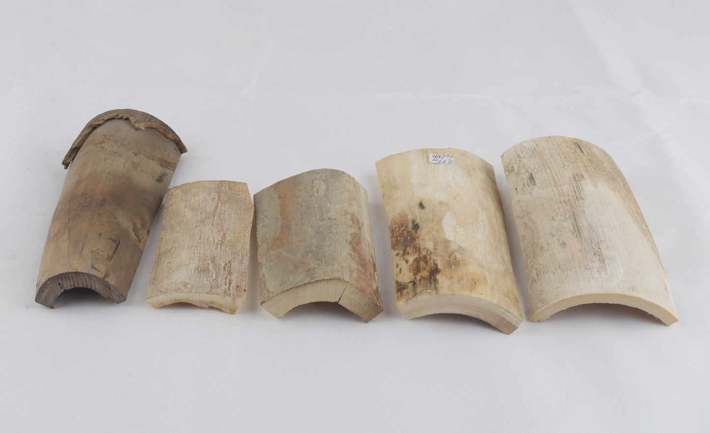 Untreated mammoth ivory pieces