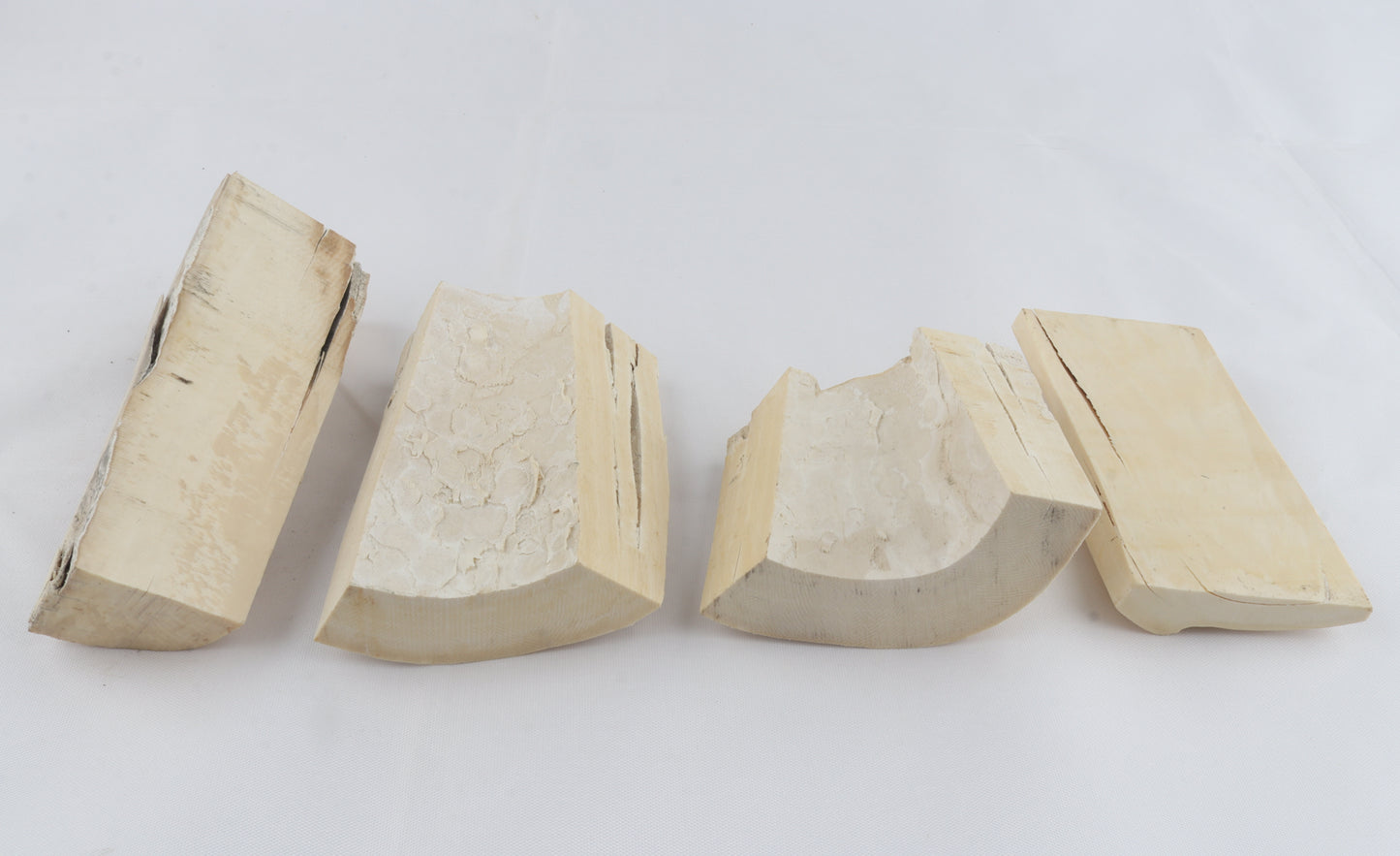 Raw white mammoth ivory pieces