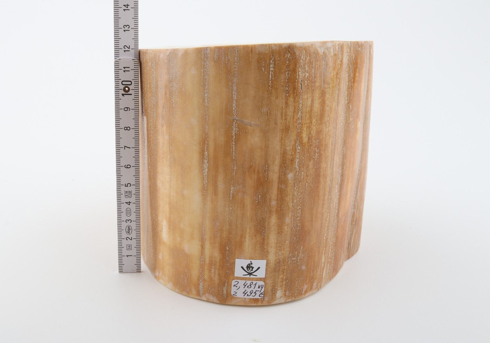 Round mammoth tusk piece