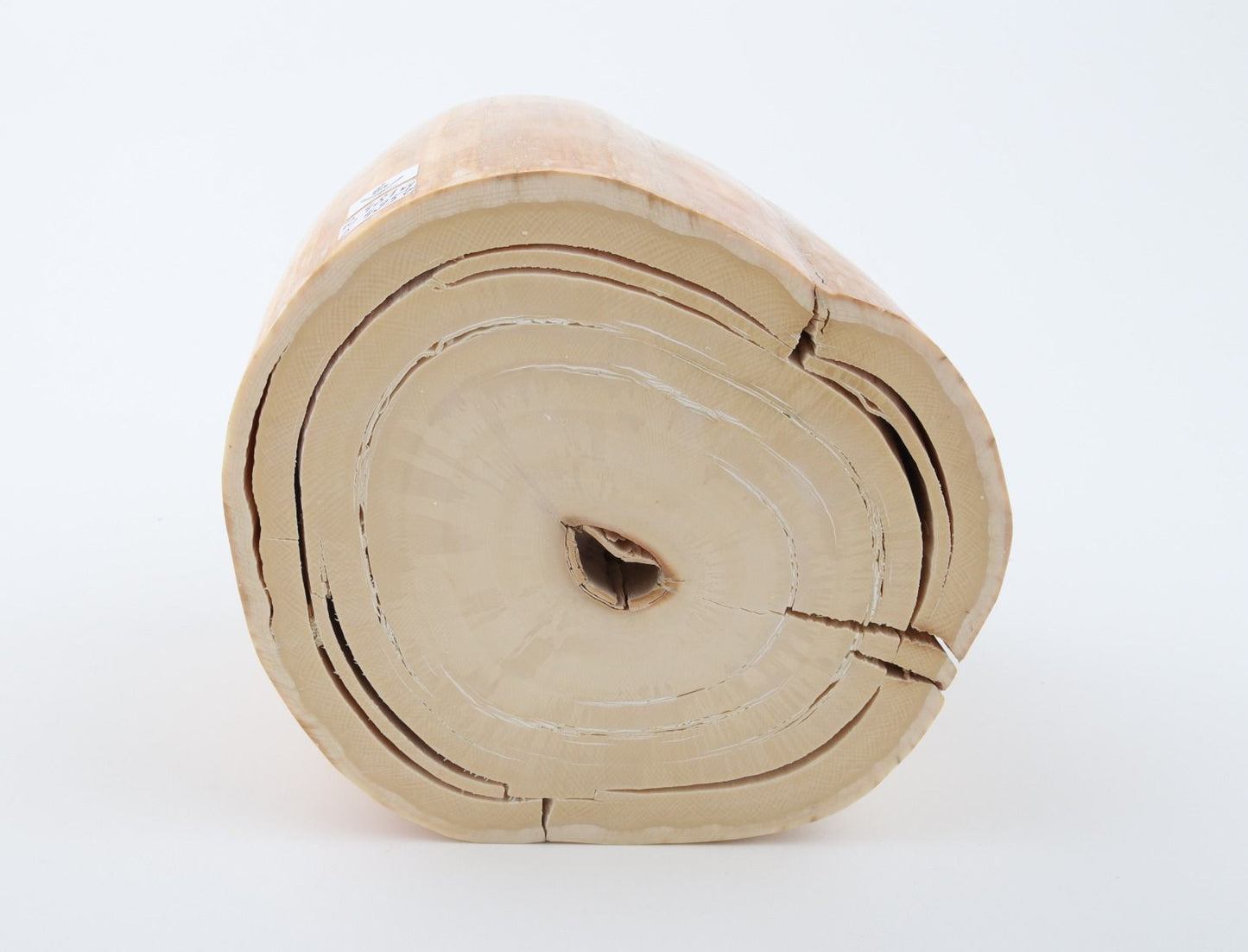 Round mammoth tusk piece