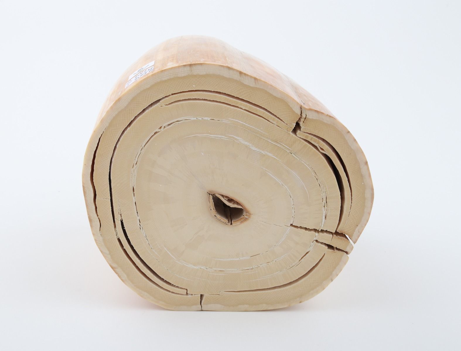 Round mammoth tusk piece