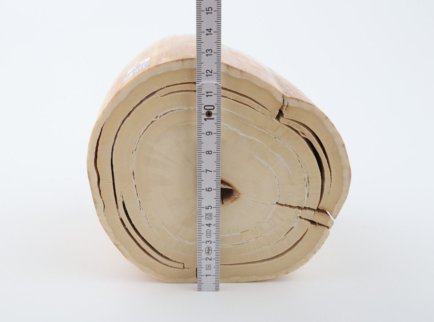Round mammoth tusk piece