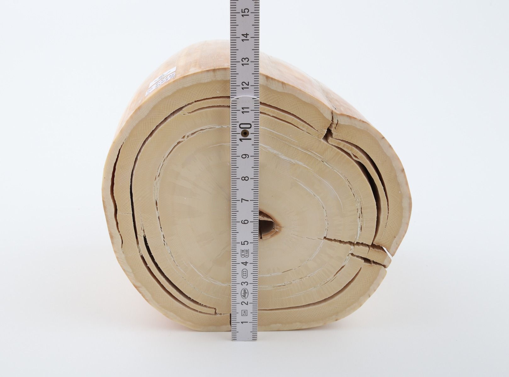 Round mammoth tusk piece