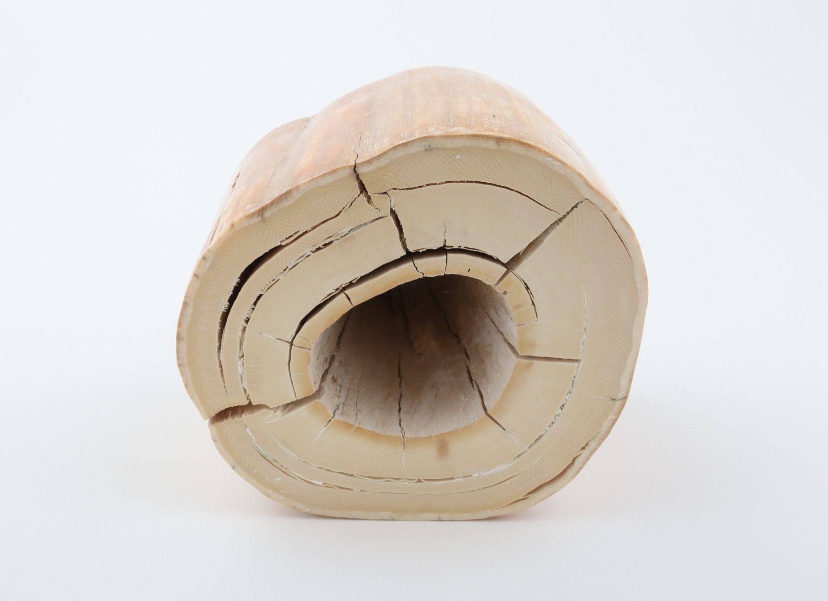 Round mammoth tusk piece