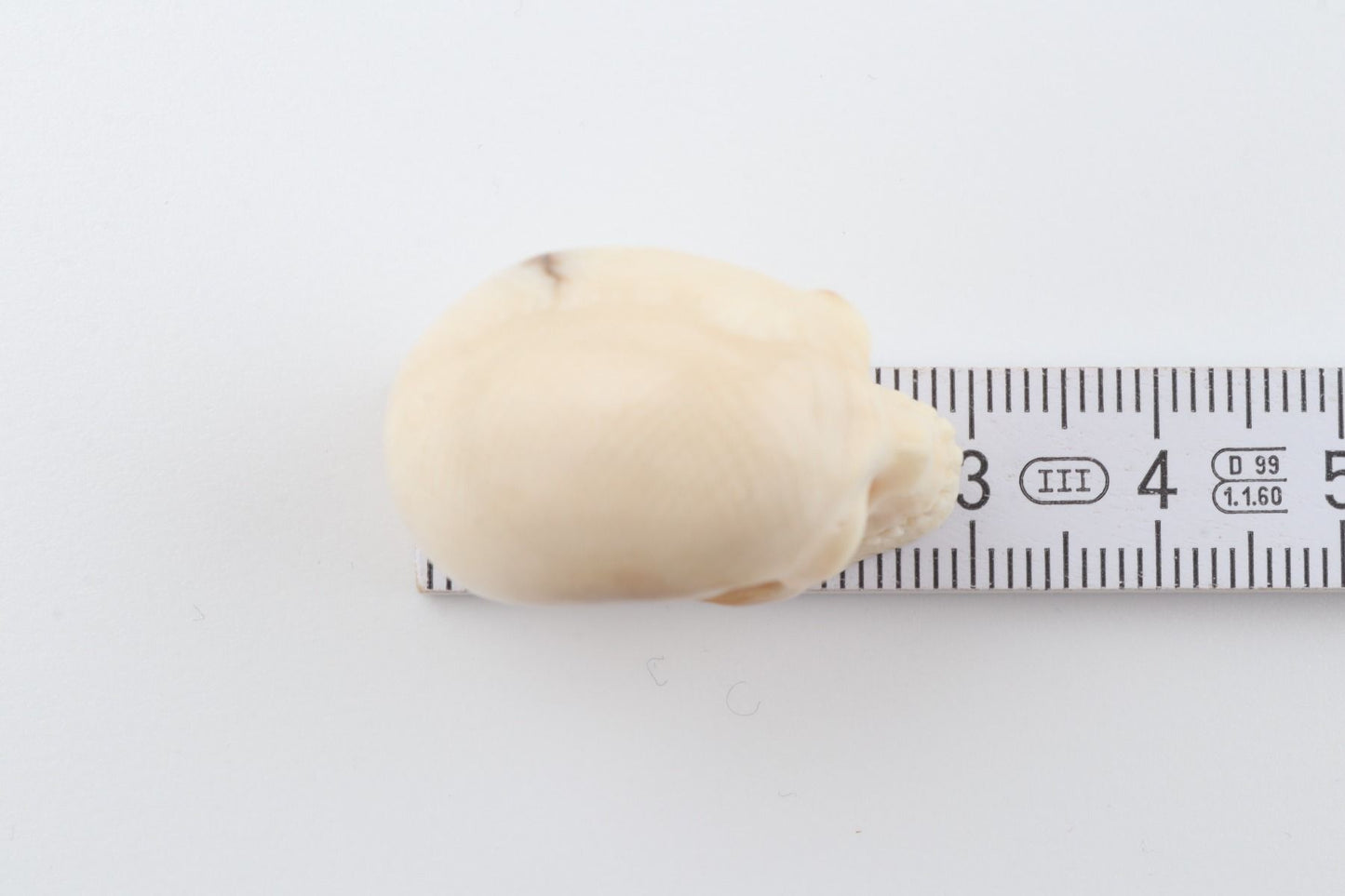 Hand-carved mammoth ivory skull