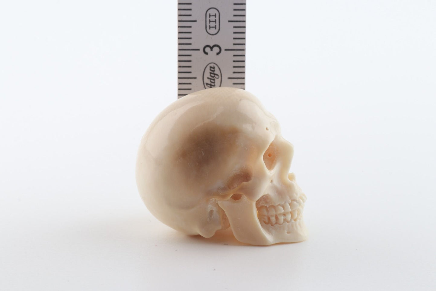 Hand-carved mammoth ivory skull