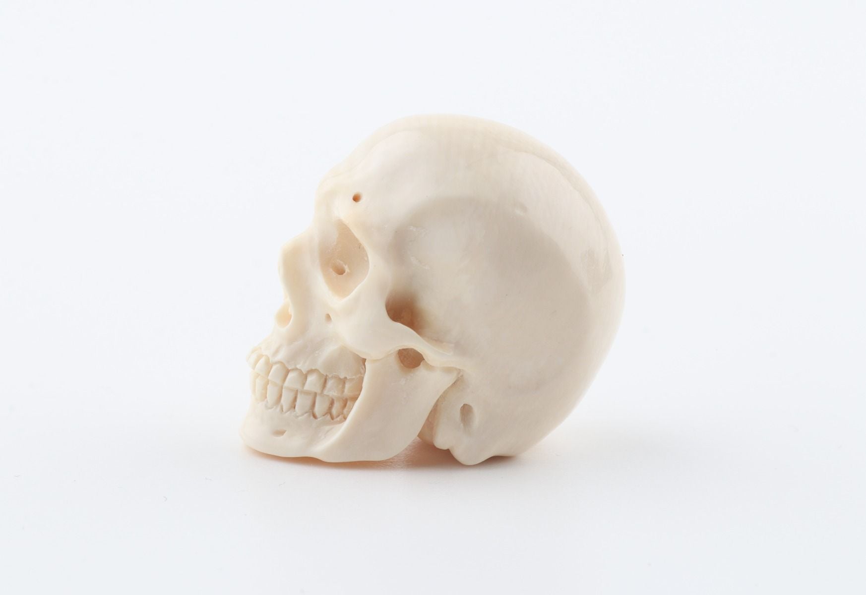Hand carved mammoth ivory skull