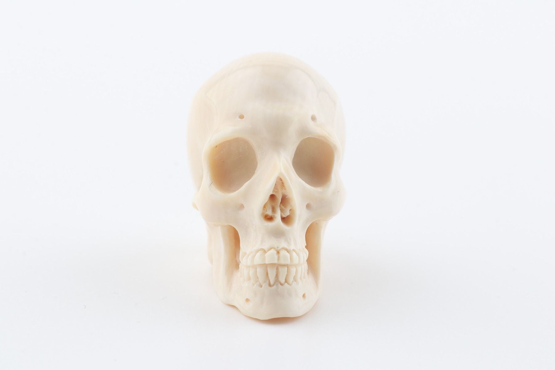 Hand carved mammoth ivory skull