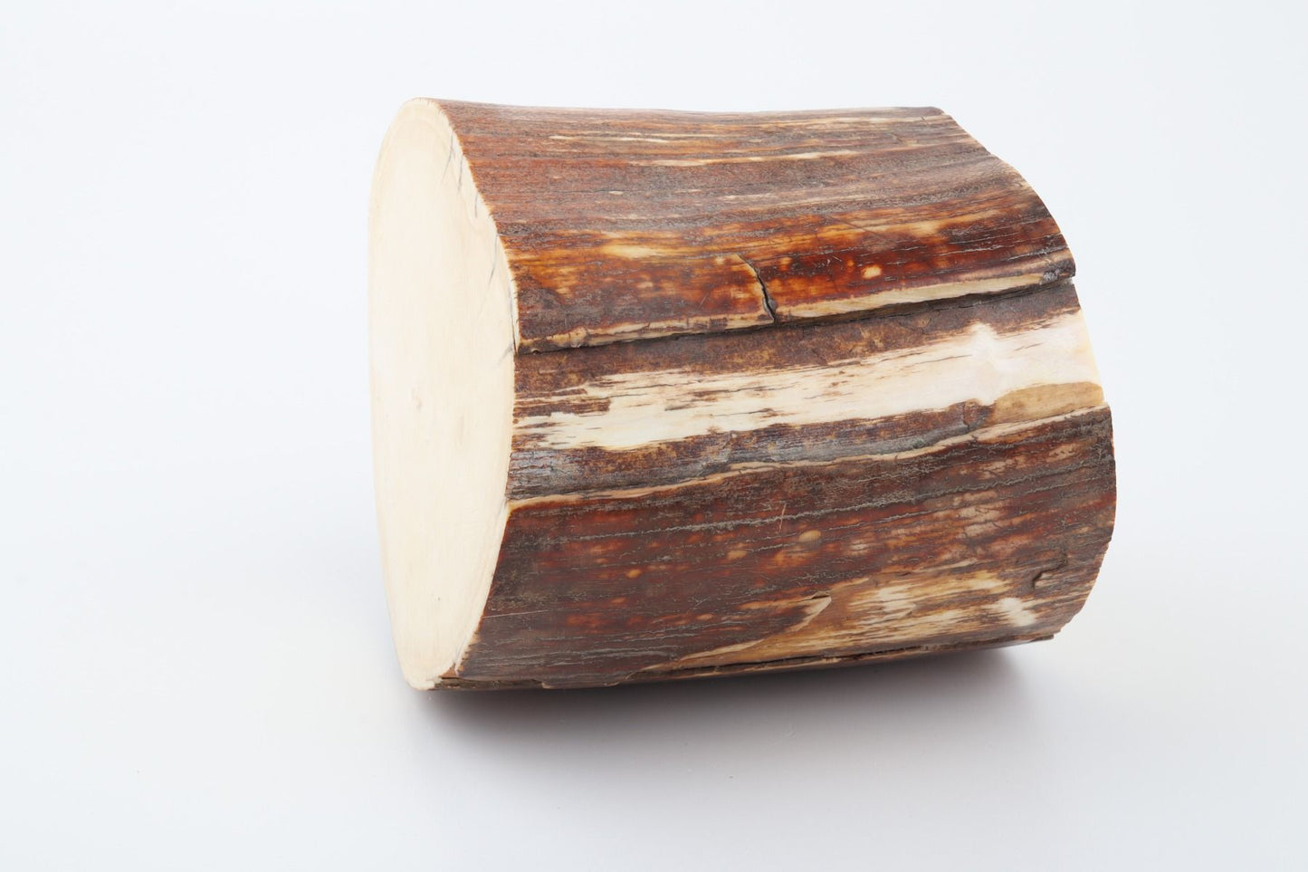 Natural mammoth ivory piece