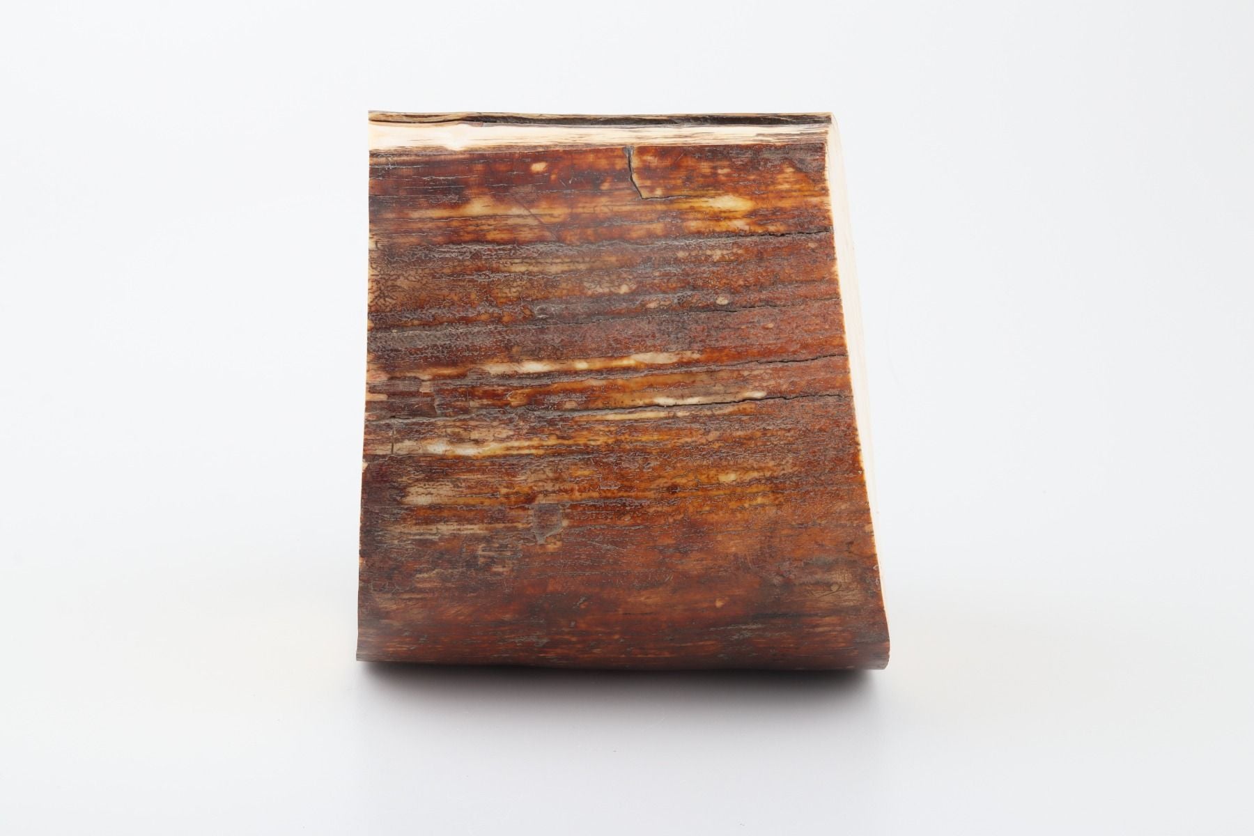 Natural mammoth ivory piece