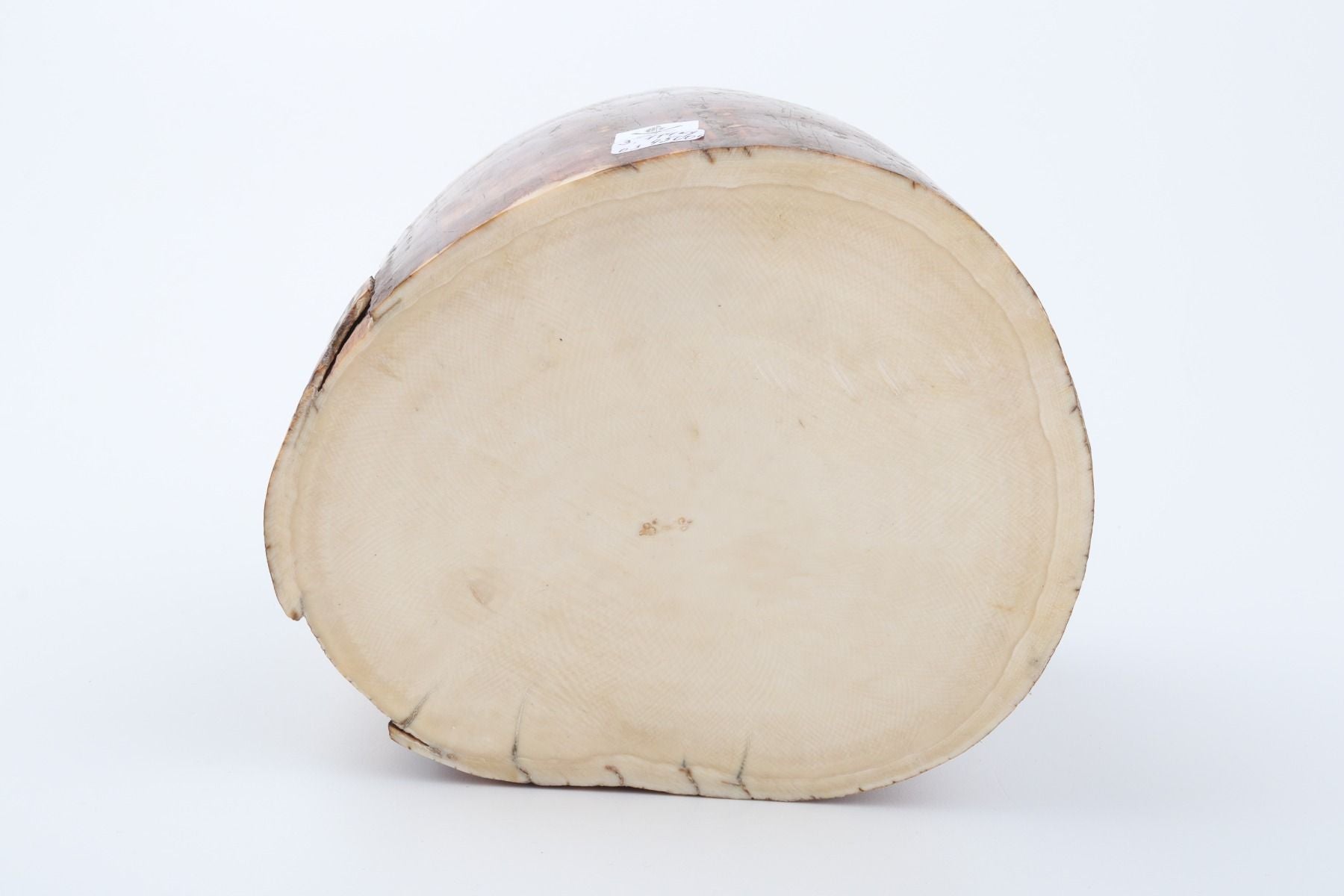 Natural mammoth ivory piece