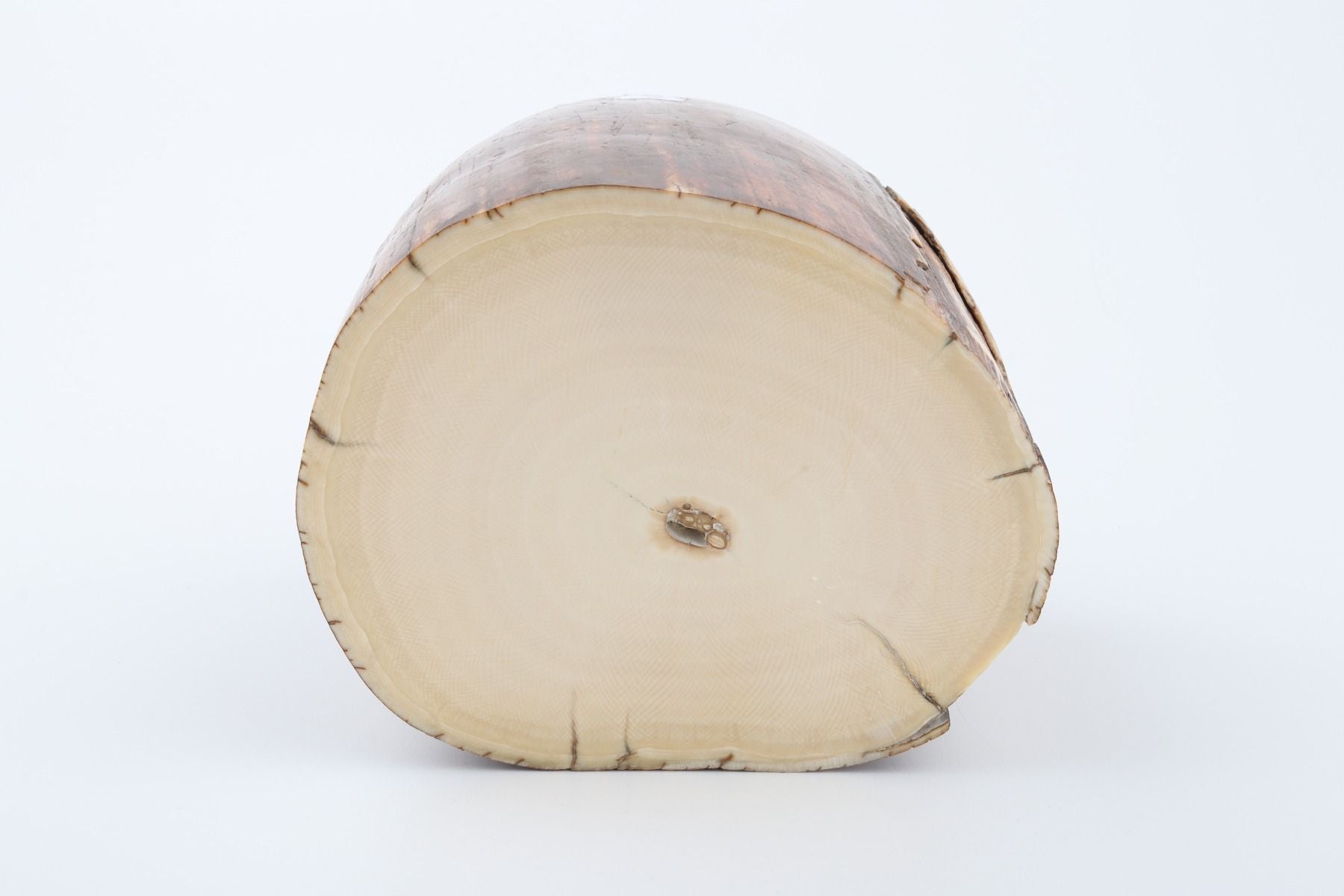 Natural mammoth ivory piece