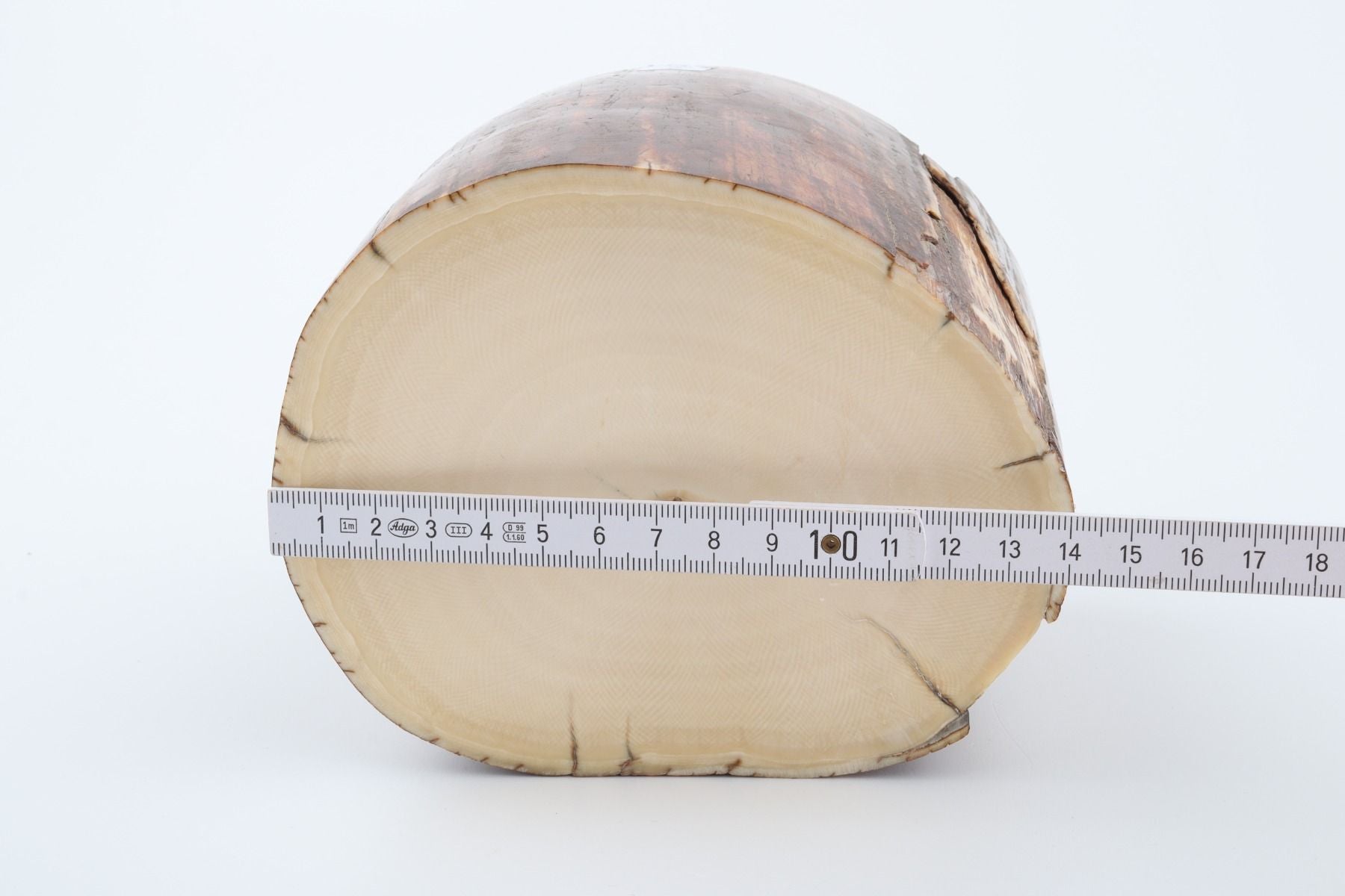 Natural mammoth ivory piece