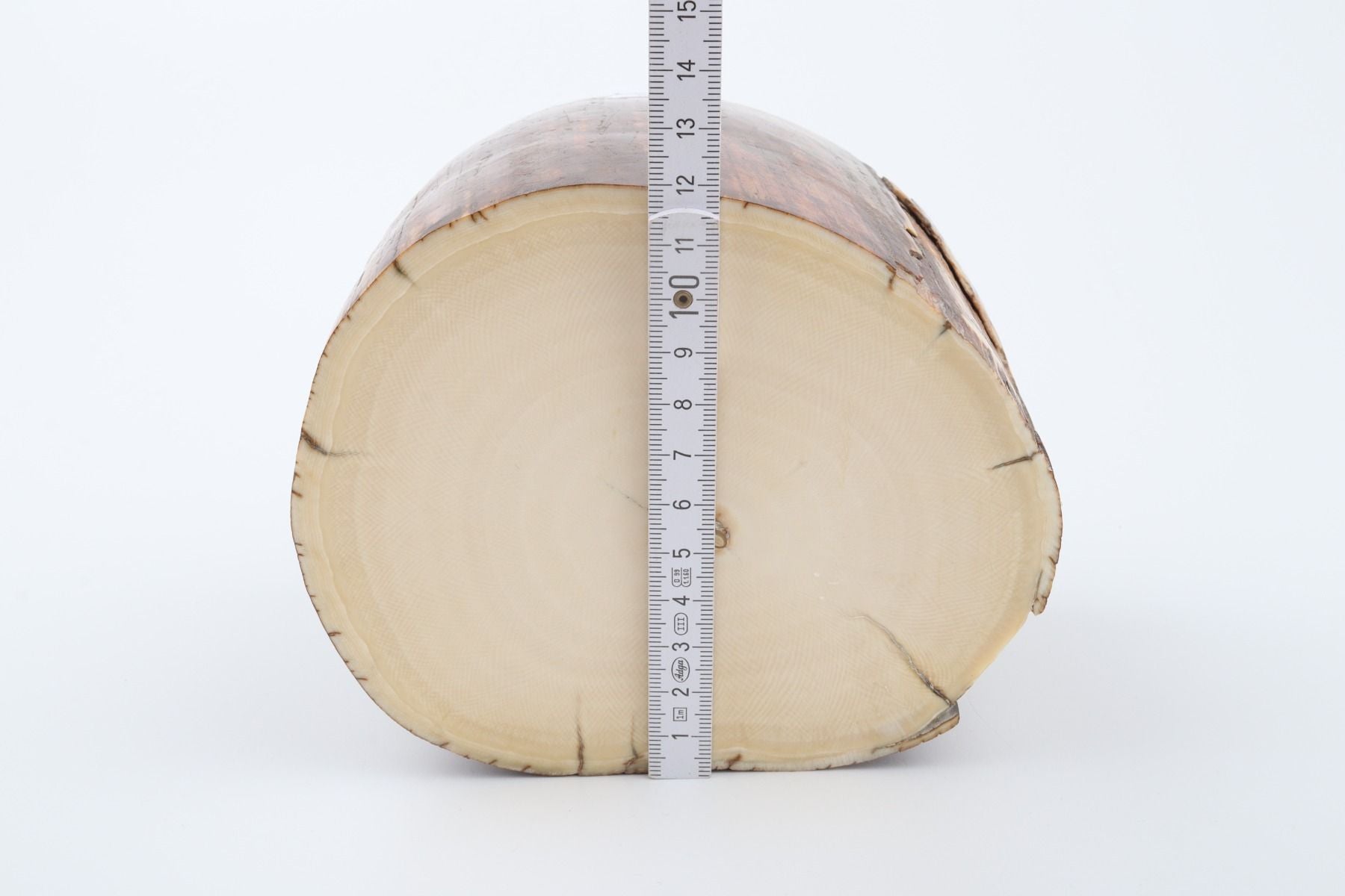 Natural mammoth ivory piece
