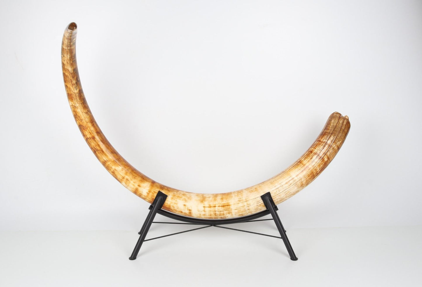 Natural woolly mammoth tusk