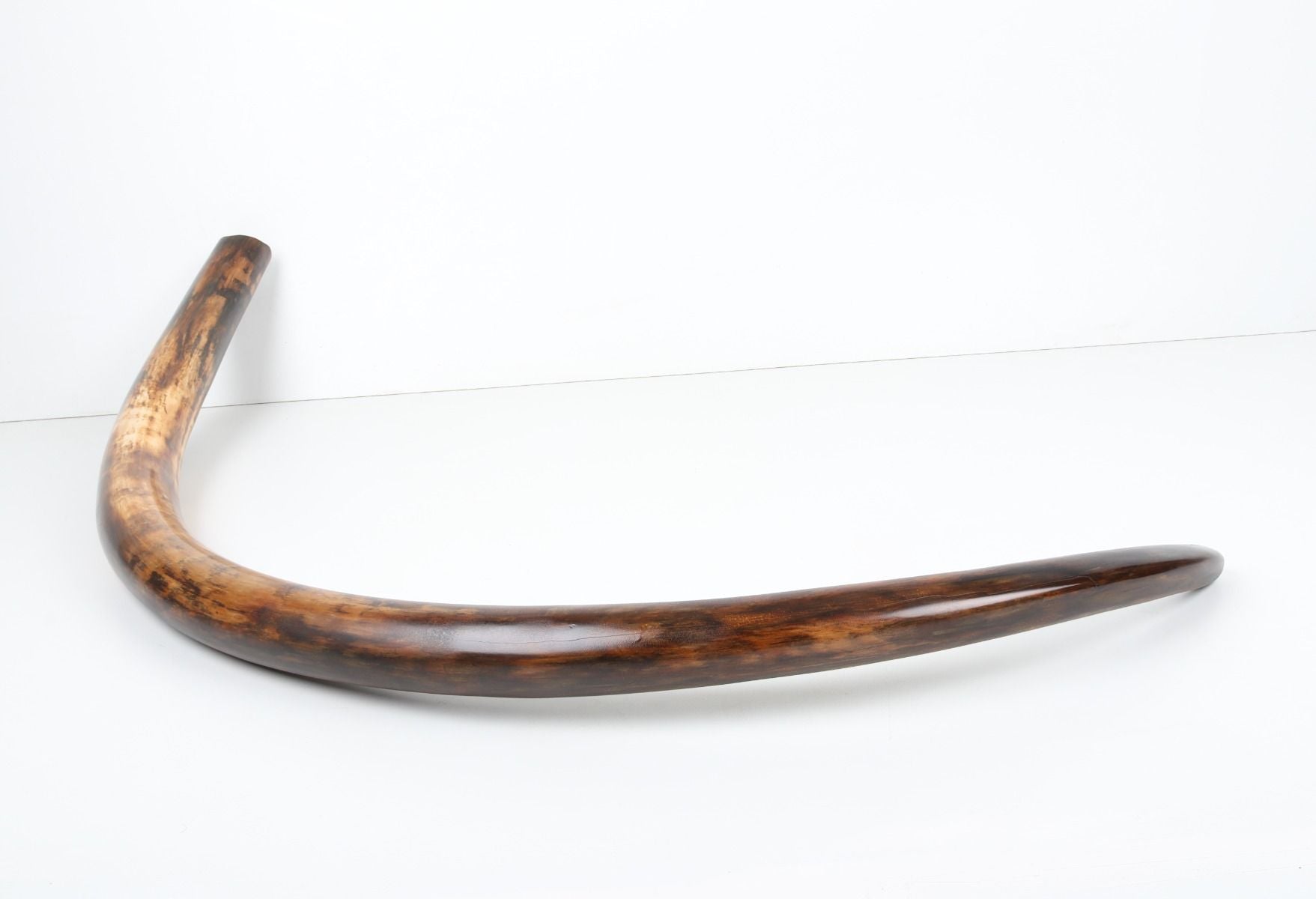 Restored woolly mammoth tusk