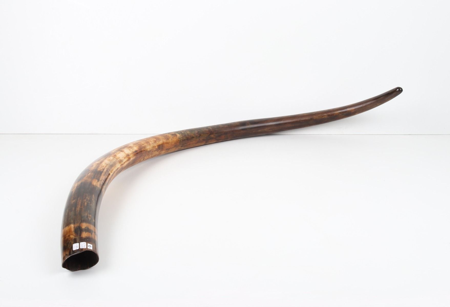 Restored woolly mammoth tusk