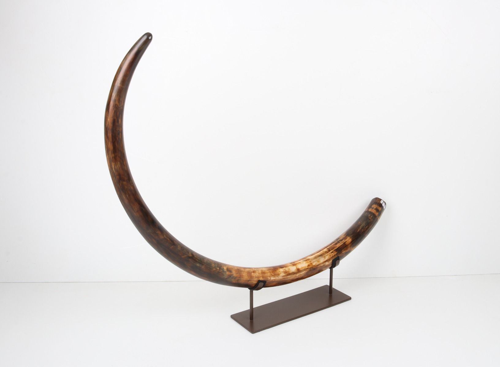 Restored woolly mammoth tusk