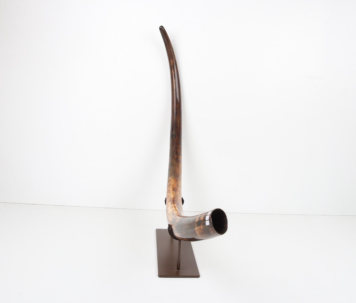 Restored woolly mammoth tusk