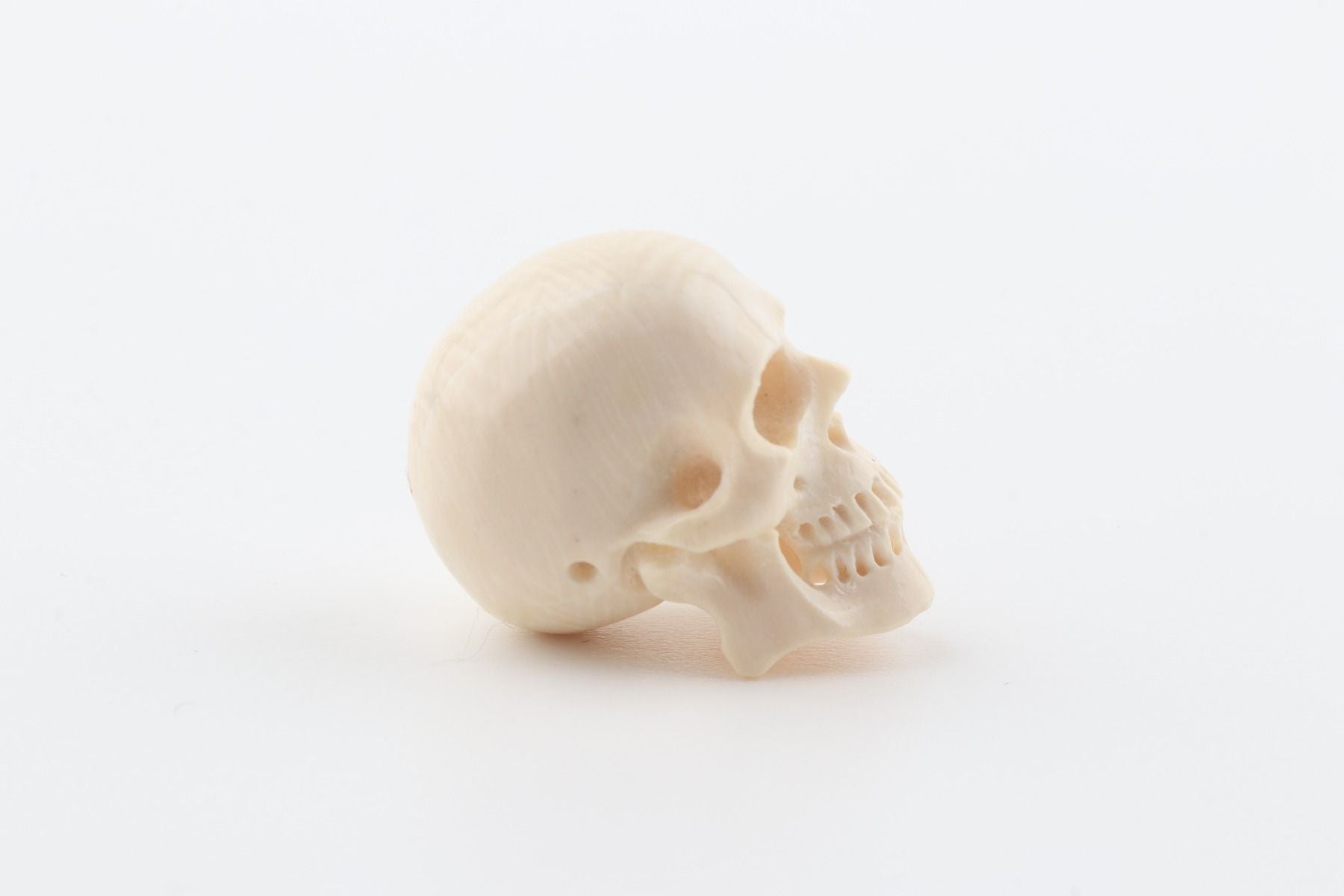 Hand carved mammoth ivory skull