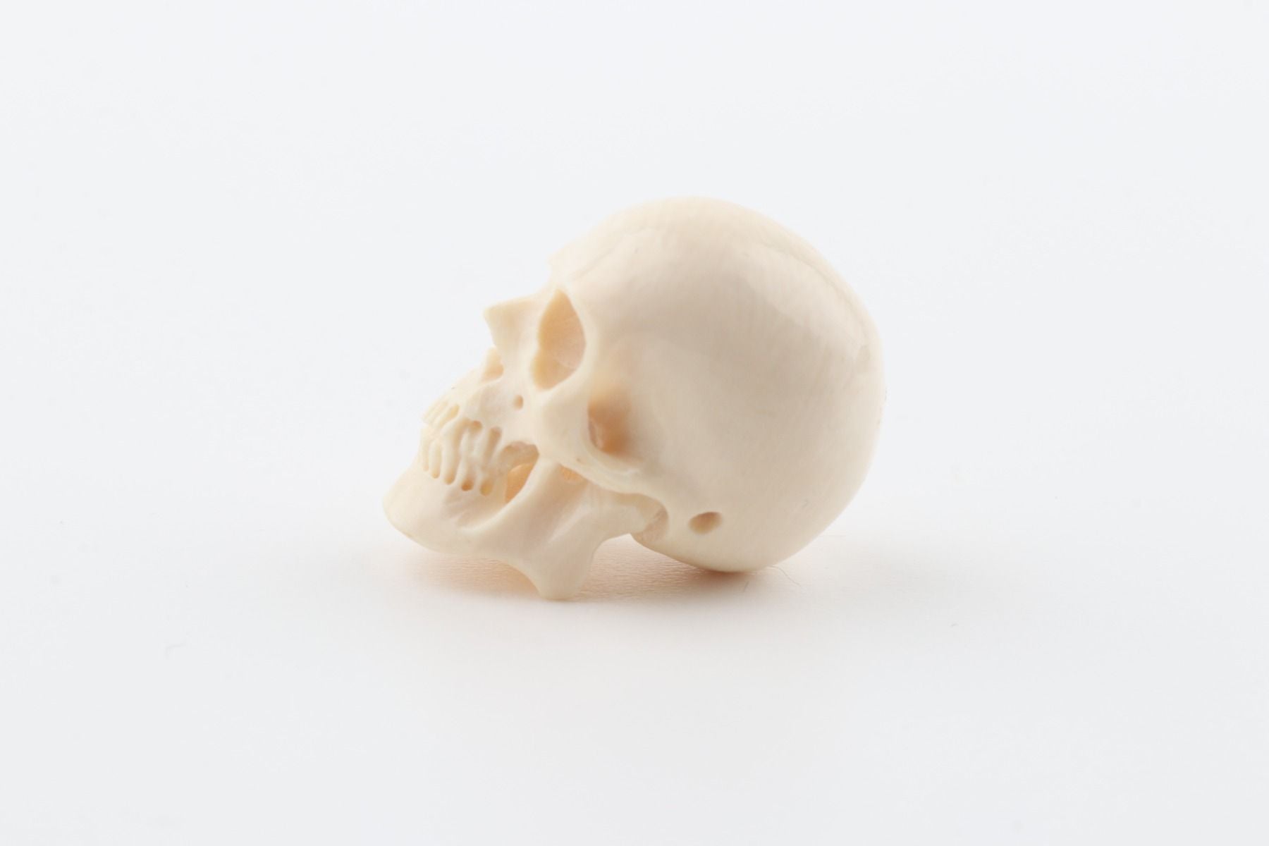 Hand carved mammoth ivory skull