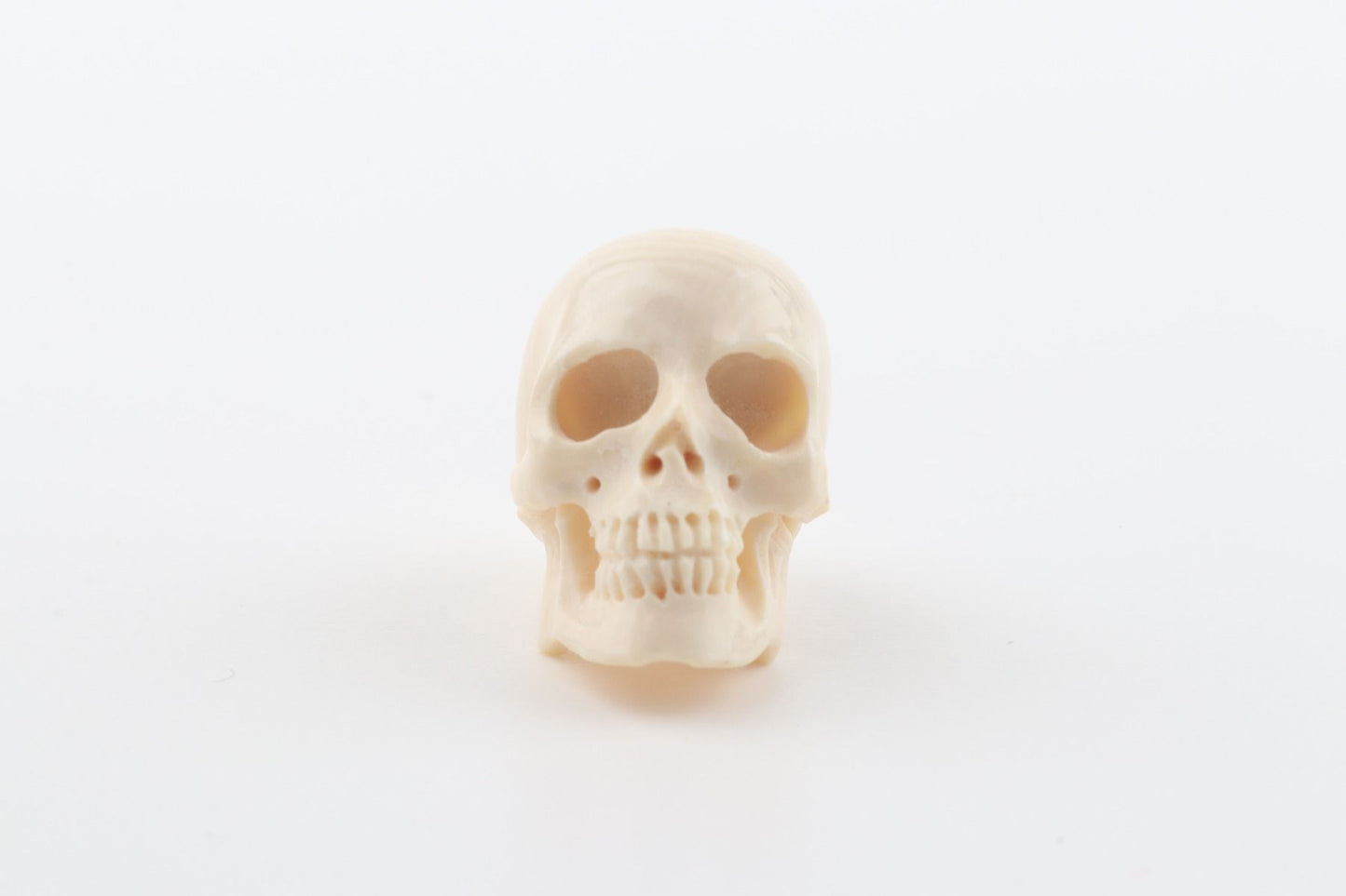 Hand carved mammoth ivory skull