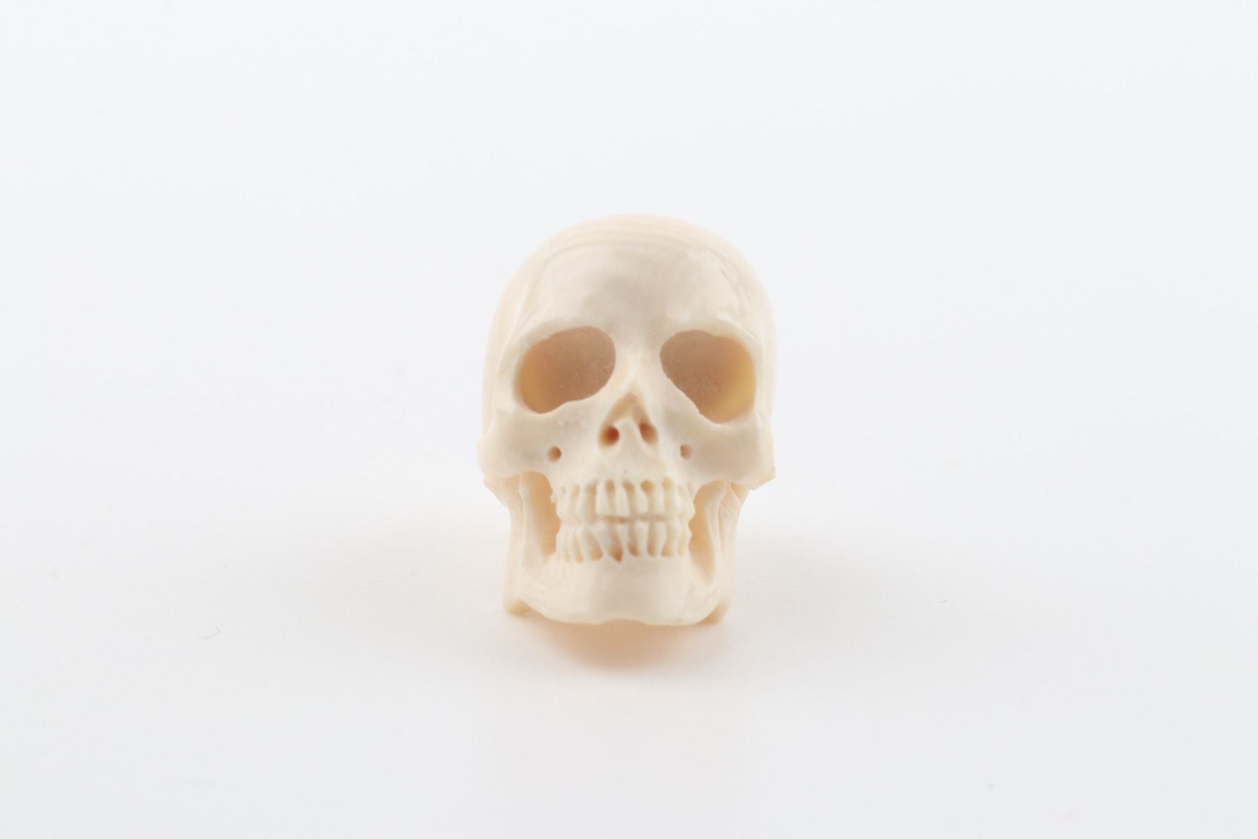 Hand carved mammoth ivory skull