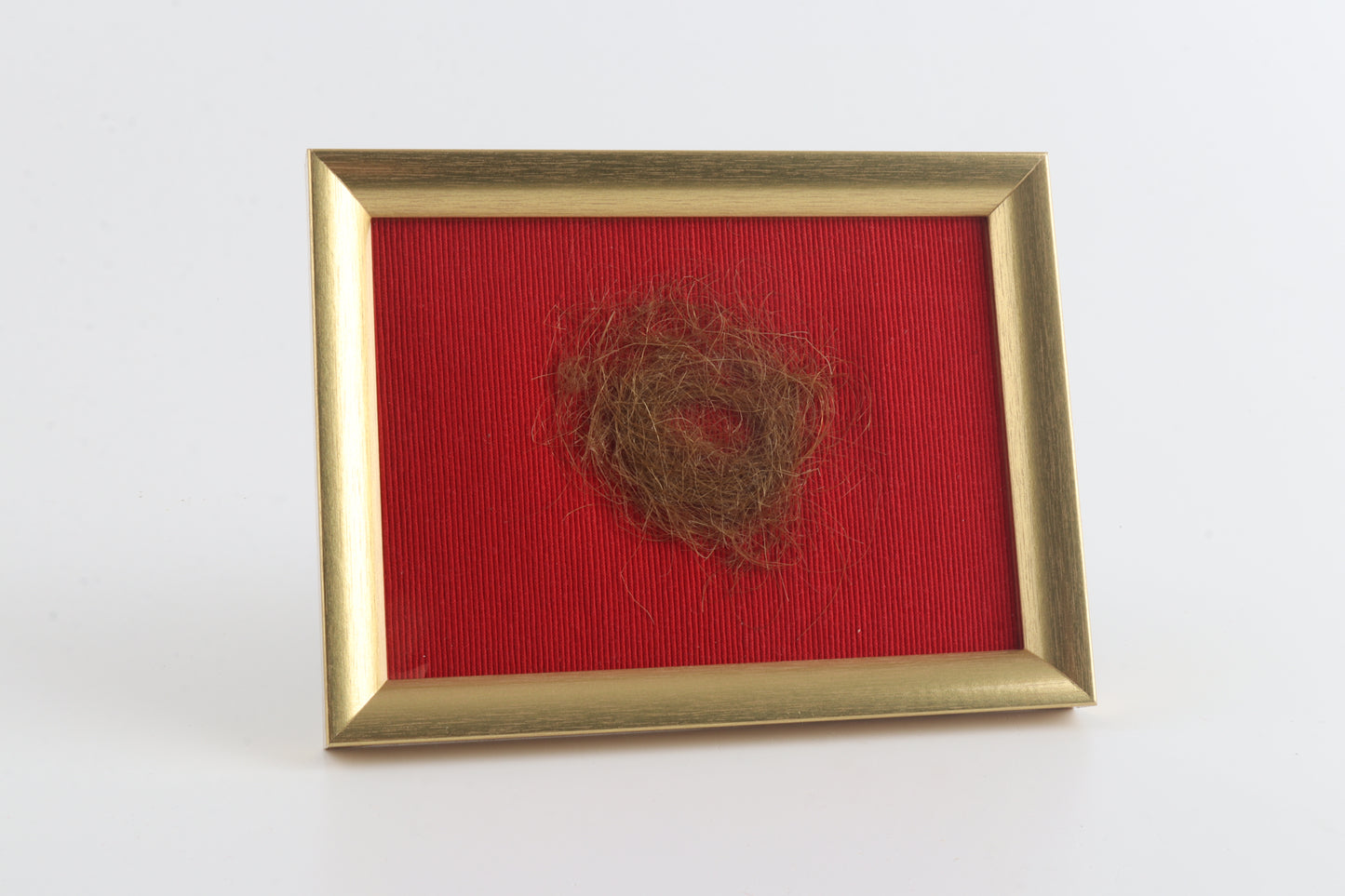 Authentic Woolly Mammoth Hair