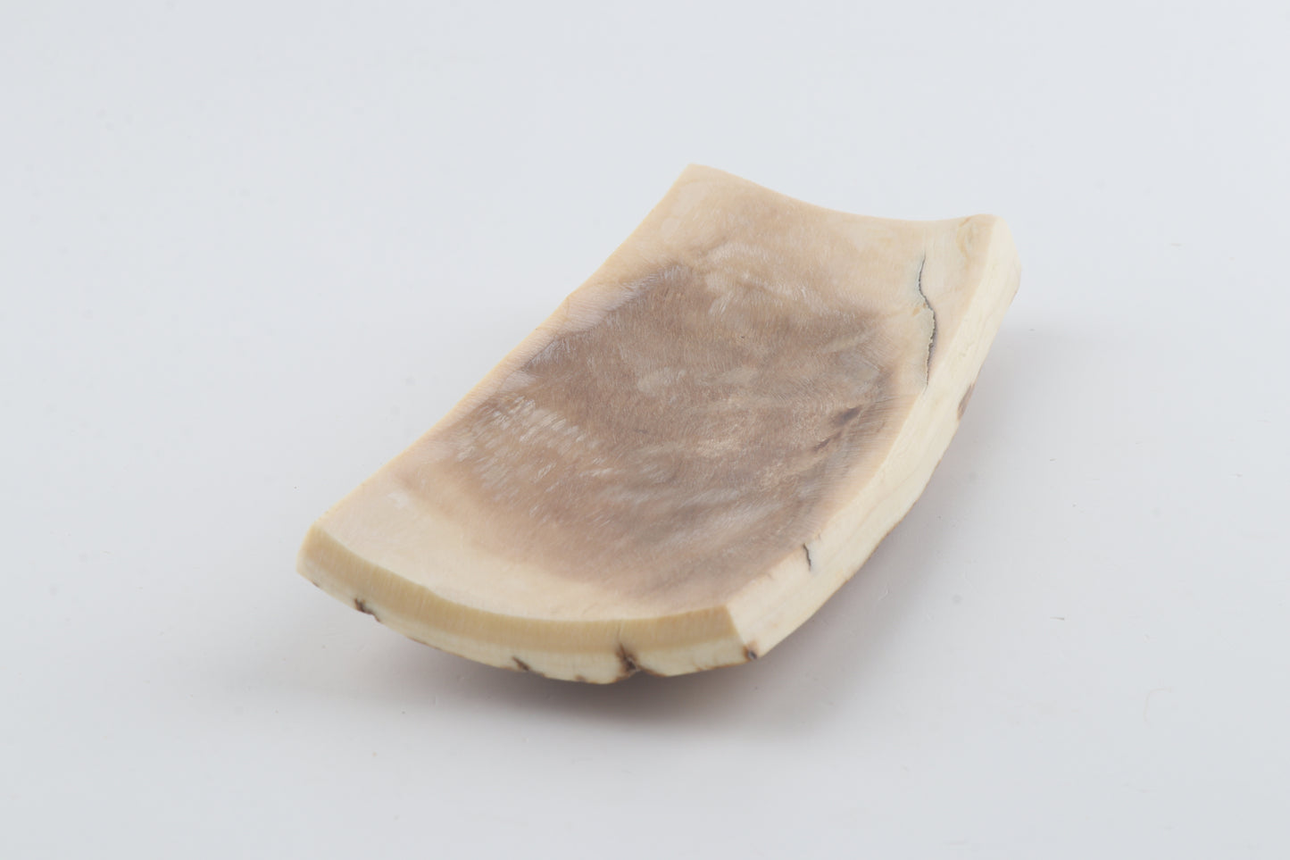 Beige-orange mammoth bark