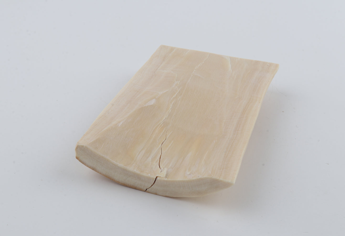 Creme-orange mammoth bark