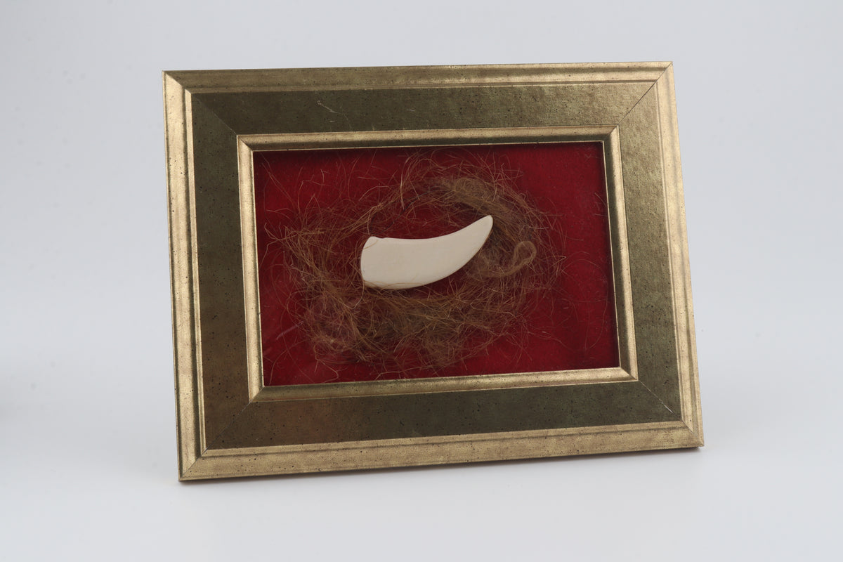 Woolly Mammoth Hair & Carved Mammoth Ivory Pendant