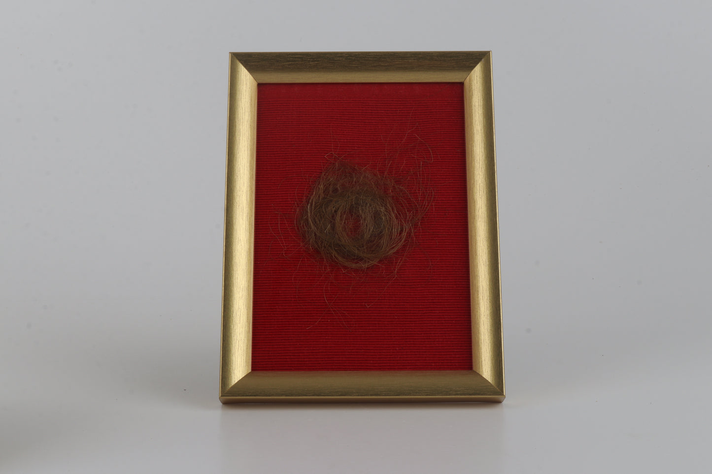 Authentic woolly mammoth hair