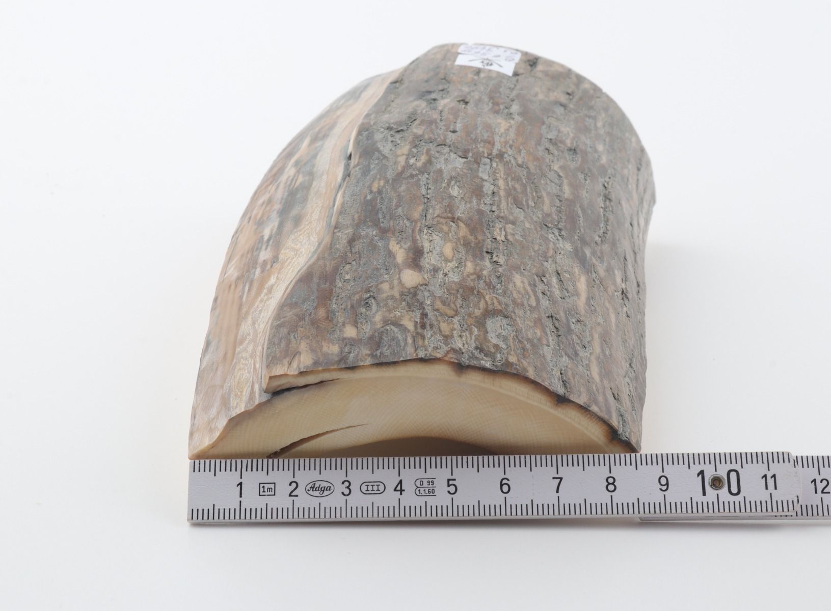 Natural woolly mammoth ivory piece