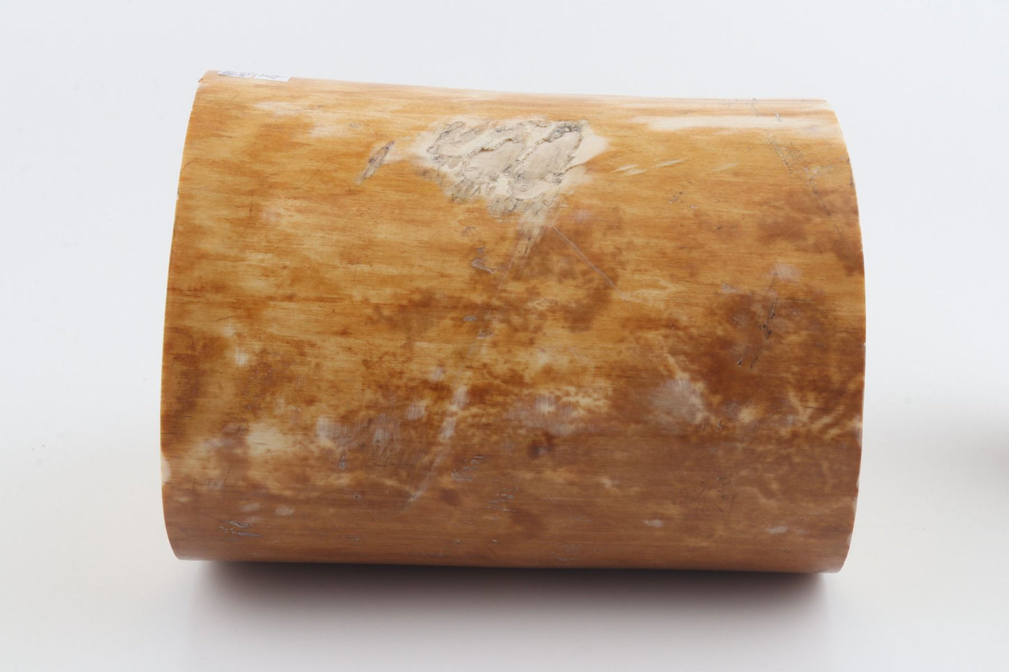 Round mammoth ivory piece