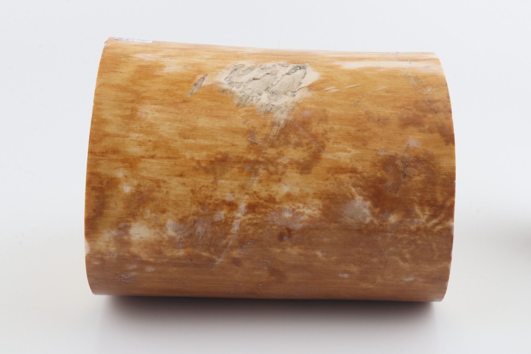 Round mammoth ivory piece