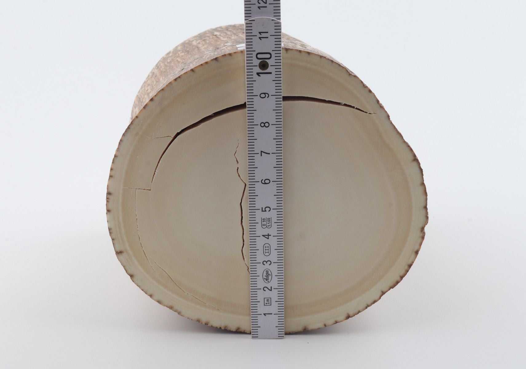 Round mammoth tusk piece
