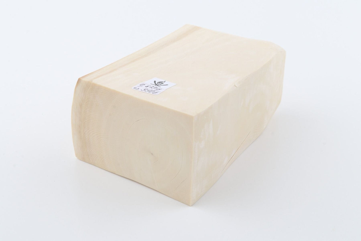 White mammoth ivory segment