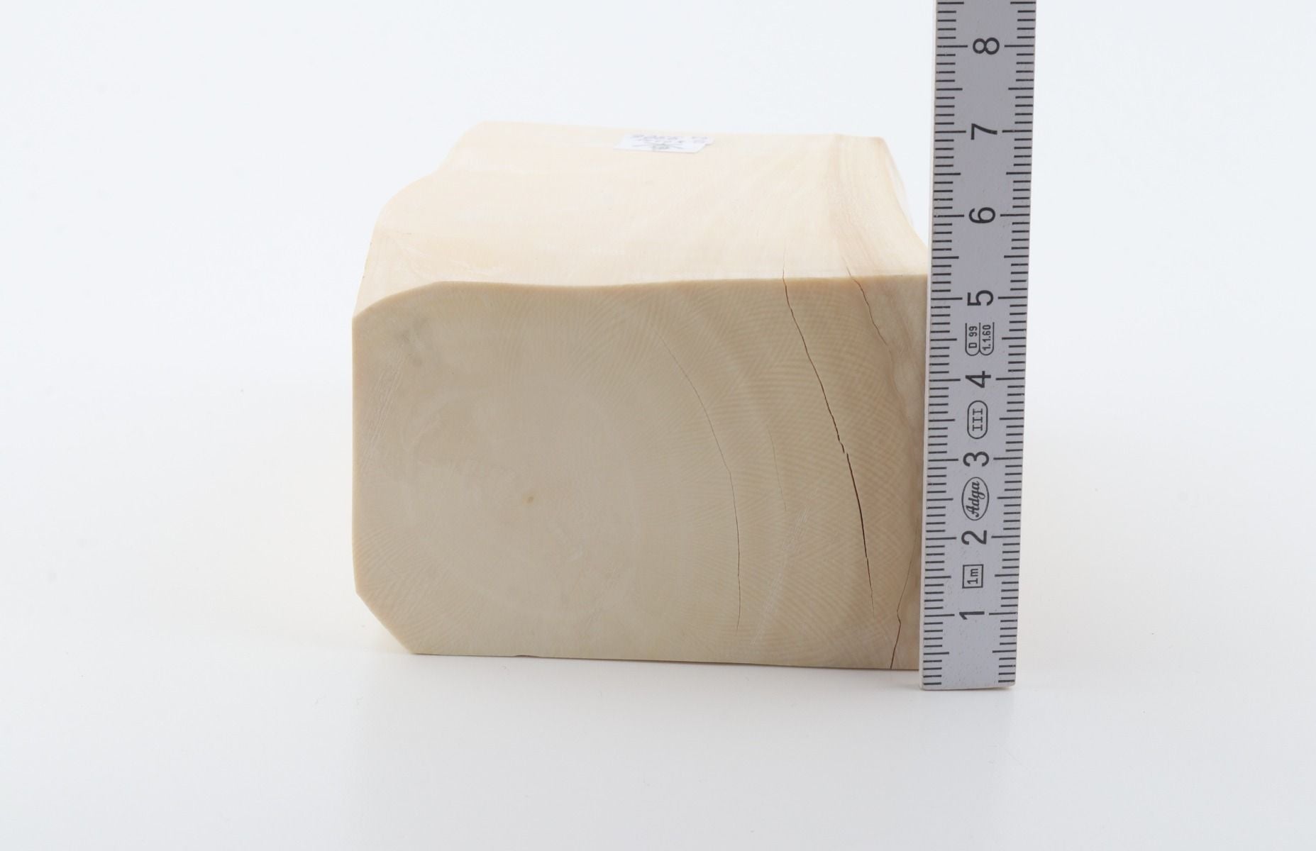 White mammoth ivory segment