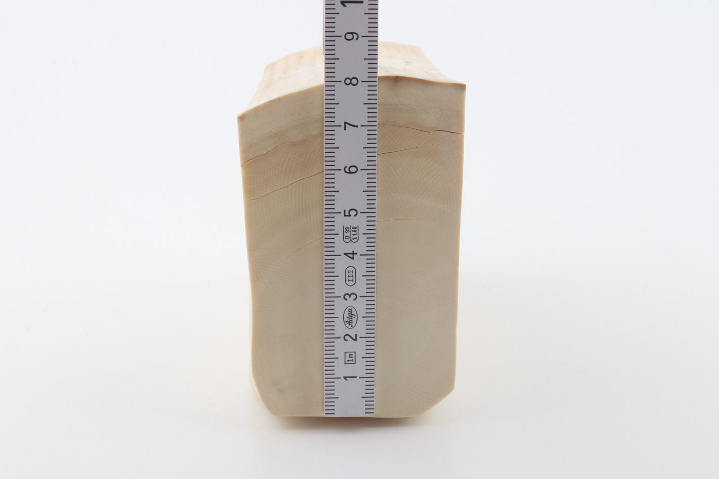 White mammoth ivory segment