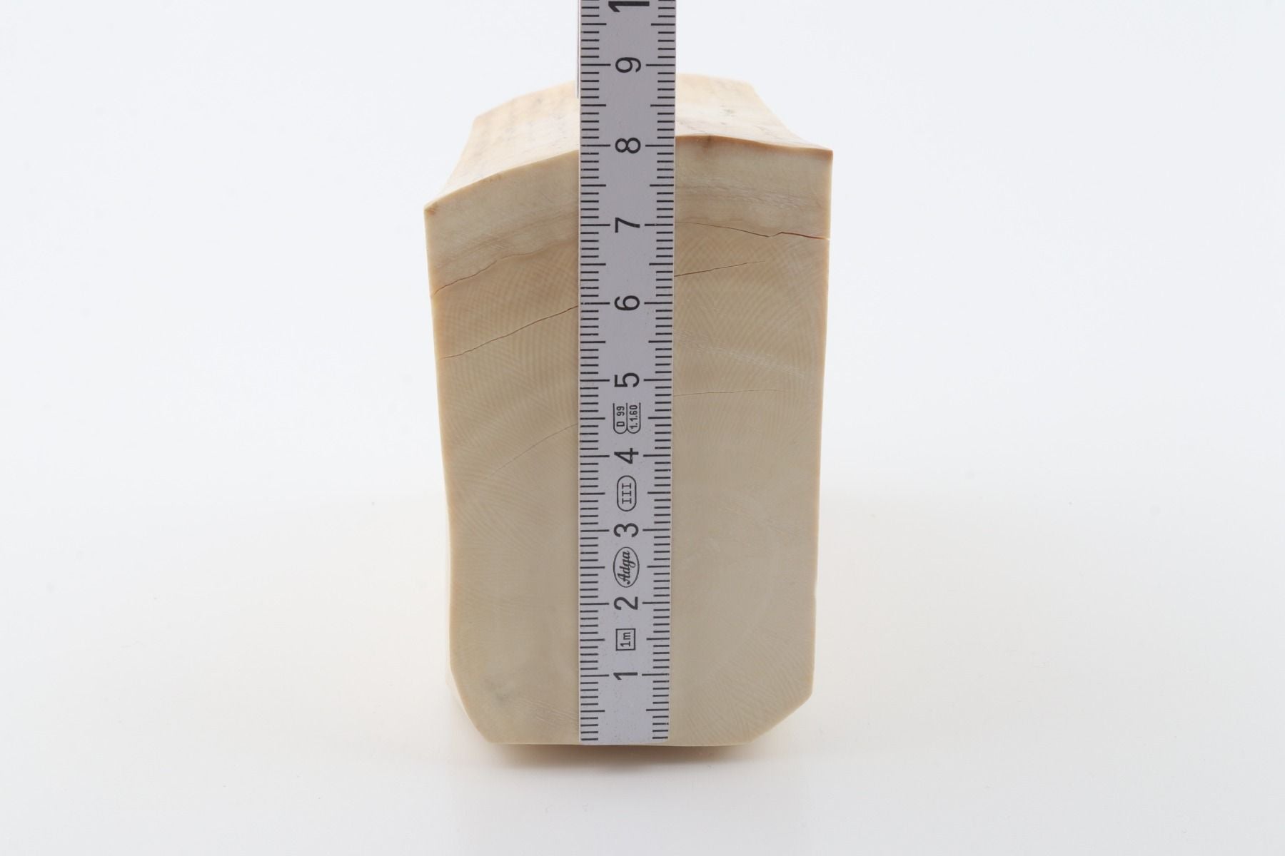 White mammoth ivory segment