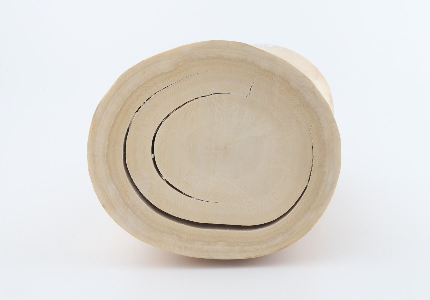 Round mammoth tusk piece