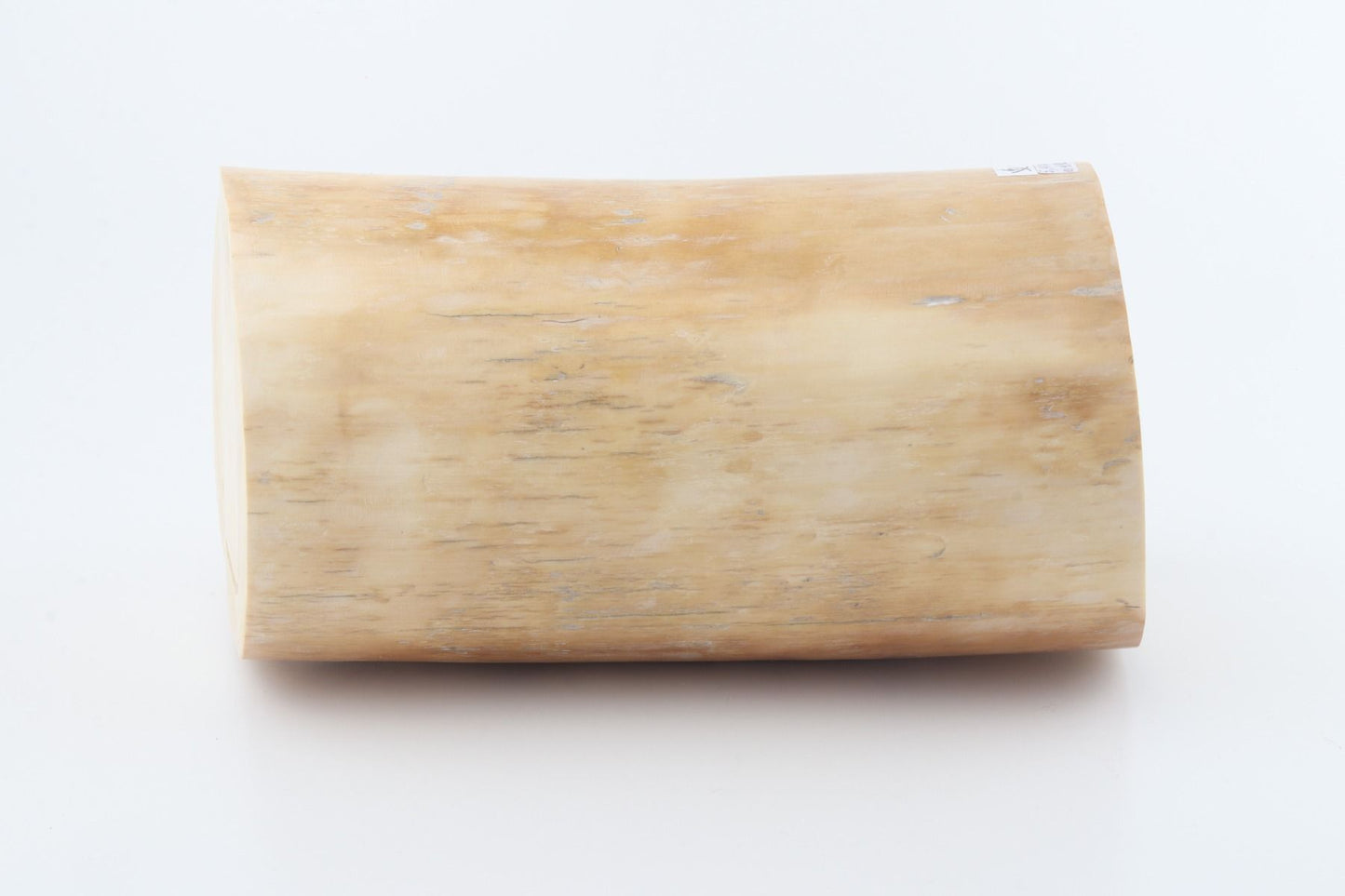 Round mammoth tusk piece