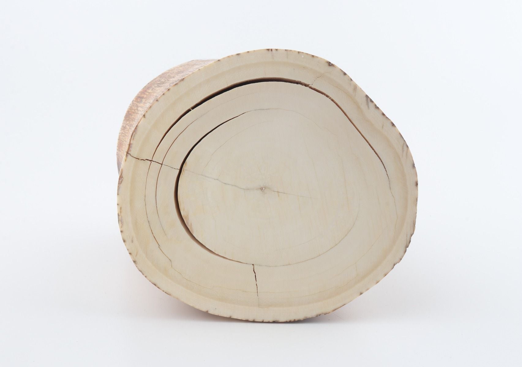 Round mammoth tusk piece