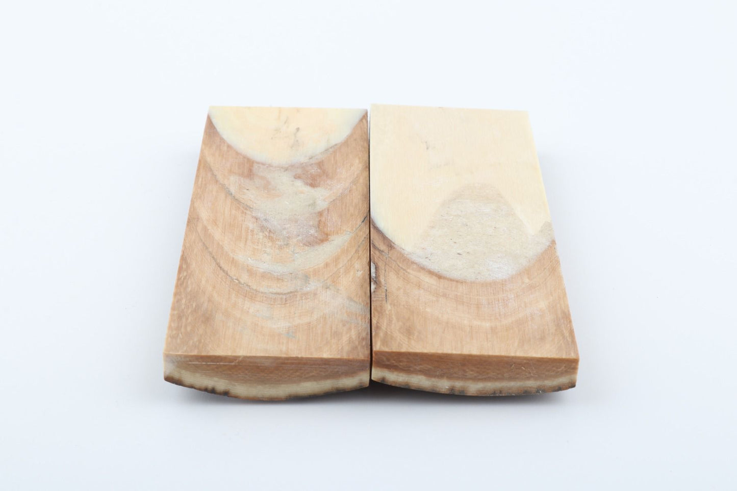Stabilised mammoth bark scales