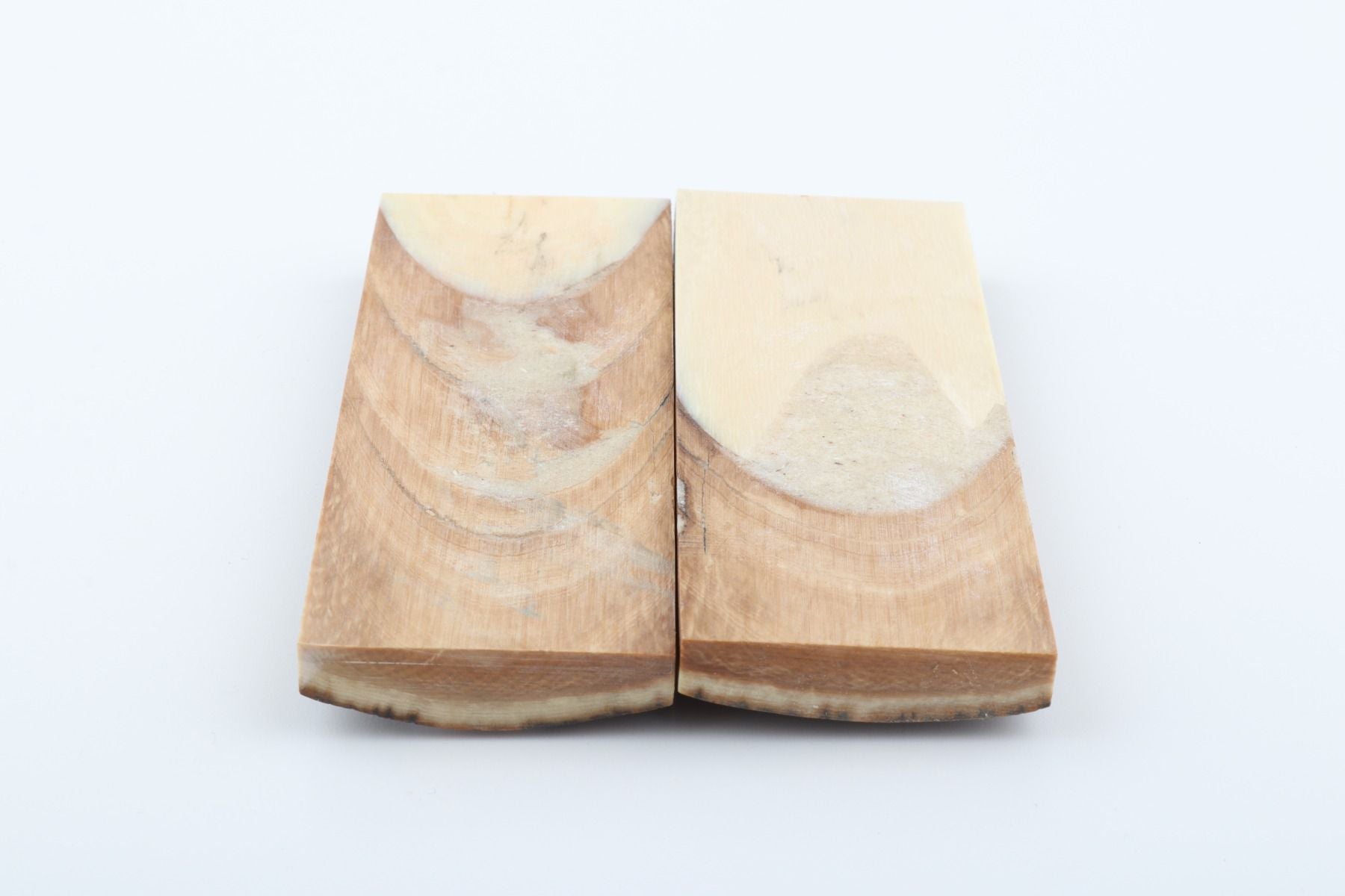 Stabilised mammoth bark scales